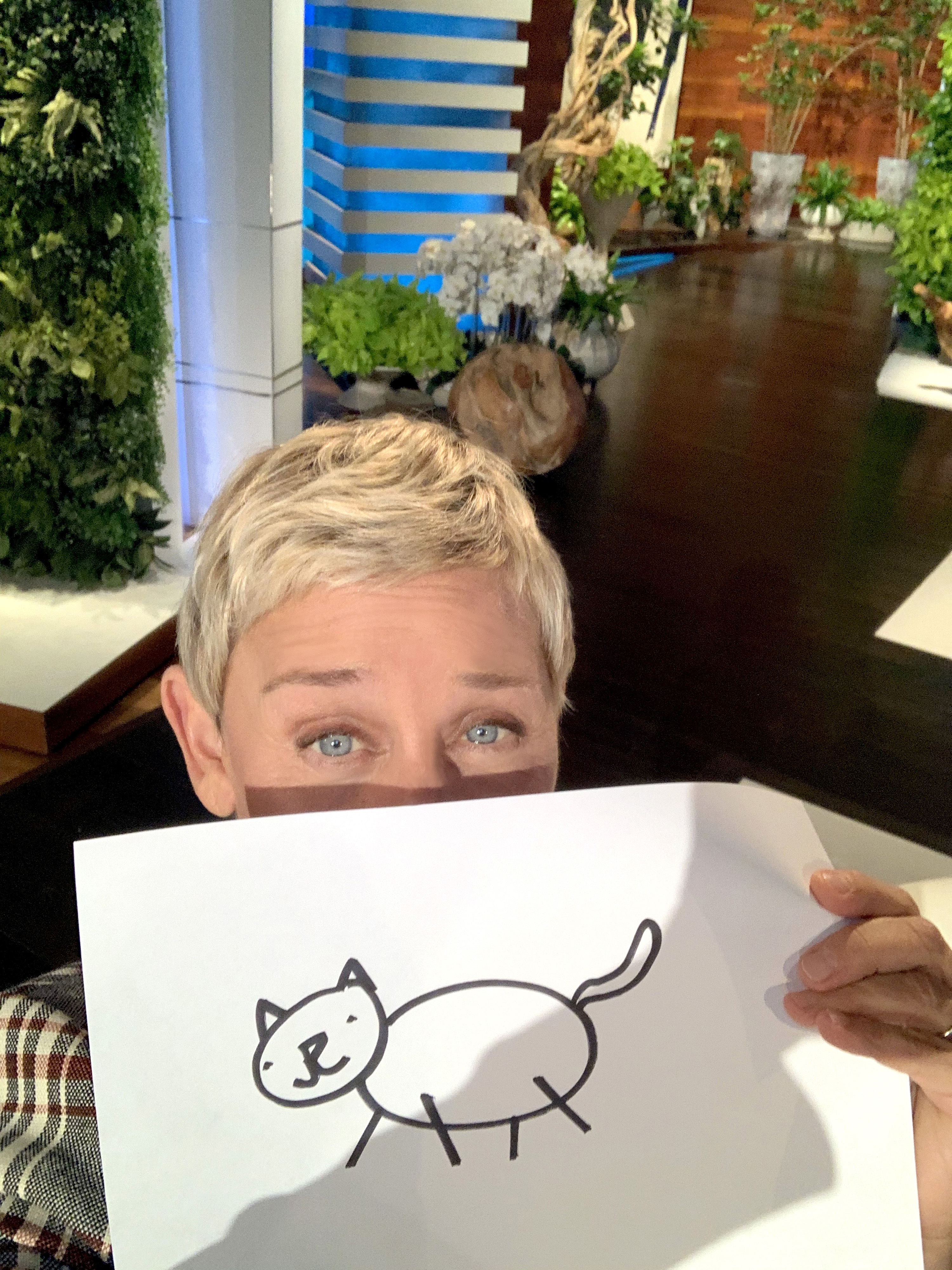 Ellen DeGeneres - Ellen First NFTs - Bitski - SILVER "Woman with Stick Cat" Package #36/64 - NFT # 338941202168786315744080984217559199868
